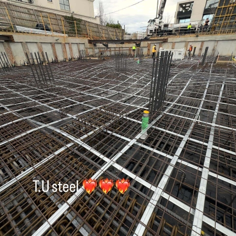 TU Steel Project